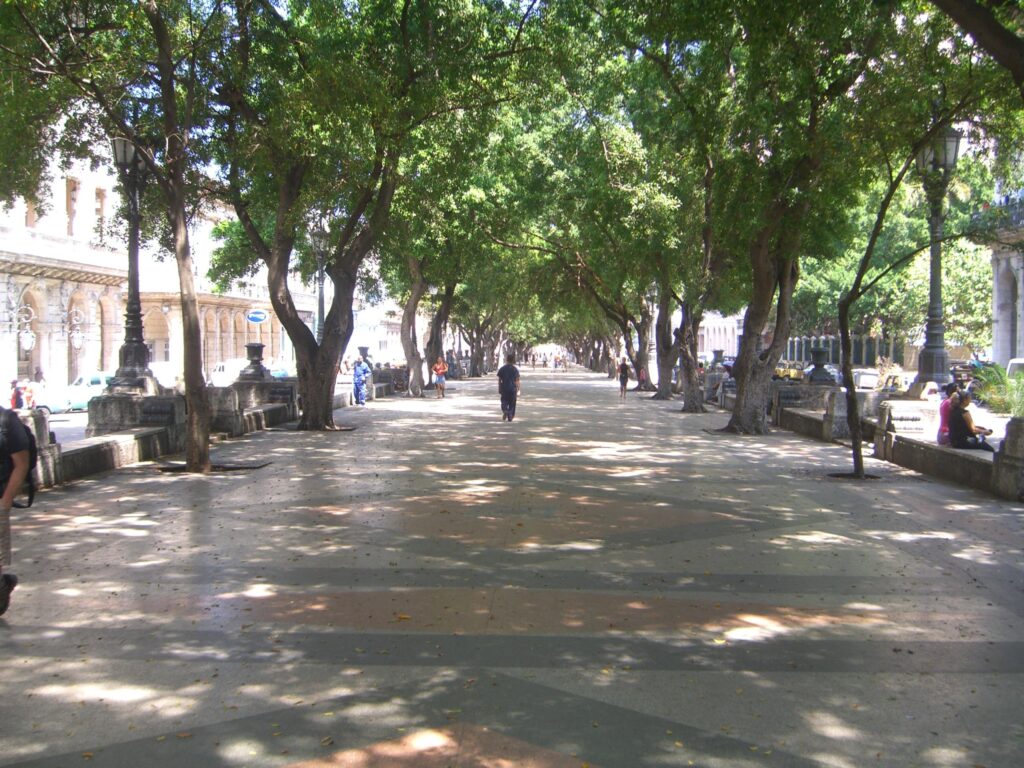 Paseo del prado